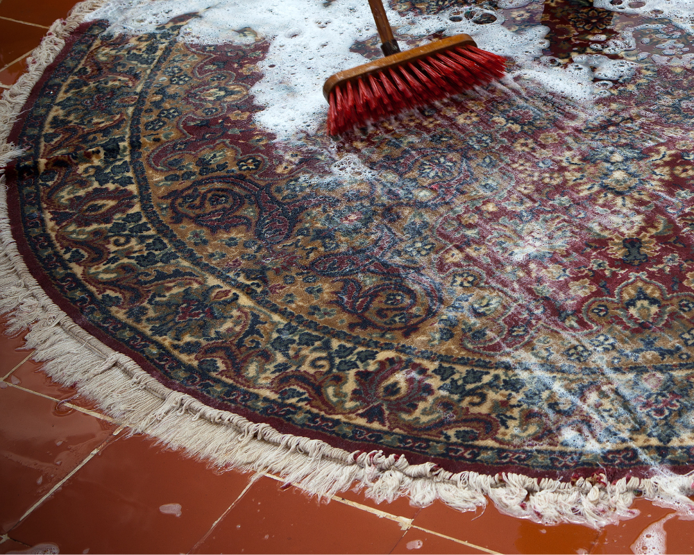 tapis provence en cours de nettoyage avec des produits écologiques et respectueux des fibres